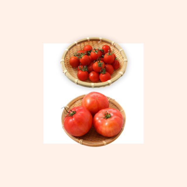 トマト

赤く熟れた瑞々しいトマトを食べたくなる季節になりました。
暑さになれず食欲がないときには、普段の料理にちょっとトマトを足したり、具をトマトに置き換えるだけで、さっぱりと食べられるのでお勧めです。
栄養たっぷりのトマトを食べて、これからの暑い季節を乗り切りましょう！

#コープ自然派 #有機野菜 #個人宅配 #オーガニック
#トマト #有機トマト #ネオニコフリー #ゲノム編集