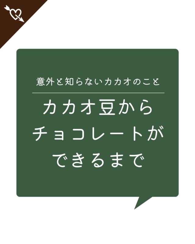 もうすぐバレンタインデーですね💝
バレンタインと言えばチョコレート！

チョコレートの原料で有名なカカオ豆は
正確には豆ではなく、カカオの木から採れる大きな実の種子のことだそうです。

そんなカカオ豆がどのようにチョコレートになっていくのか…実は知らない！という方も少なくないのではないでしょうか？
カカオの加工の流れを見てみましょう！

#コープ自然派 #生協 #オーガニック#バレンタイン #チョコレート #カカオ #カカオ豆